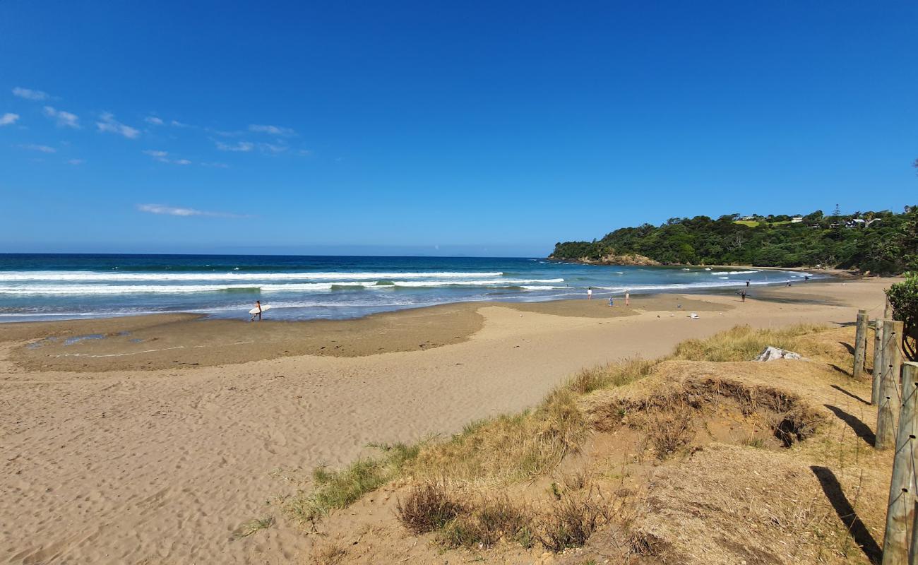 Sandy Bay Beach'in fotoğrafı açık bej kum yüzey ile
