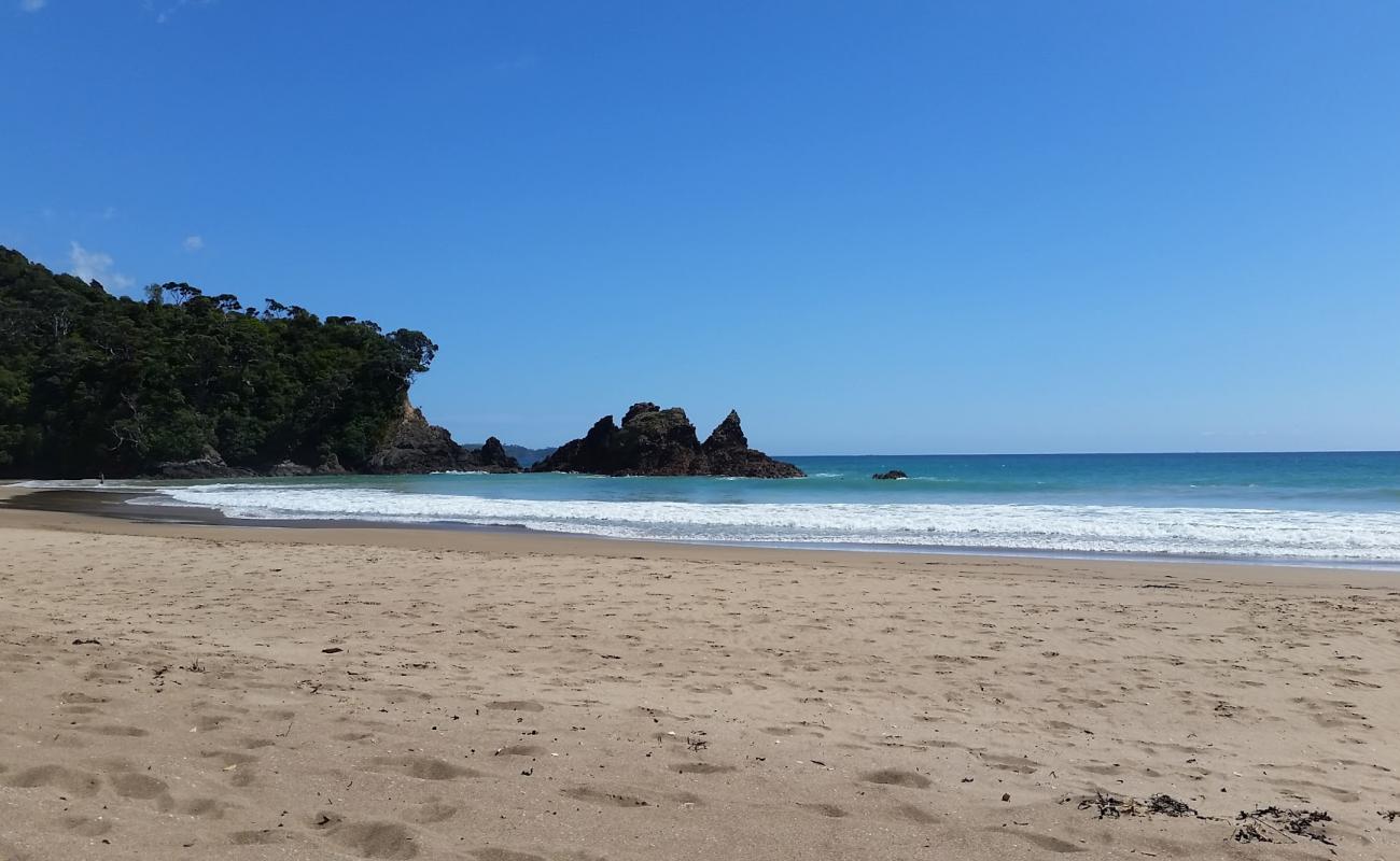 Woolleys Bay Beach'in fotoğrafı açık bej kum yüzey ile