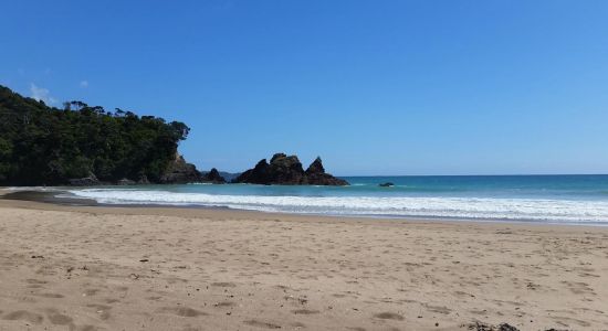 Woolleys Bay Beach