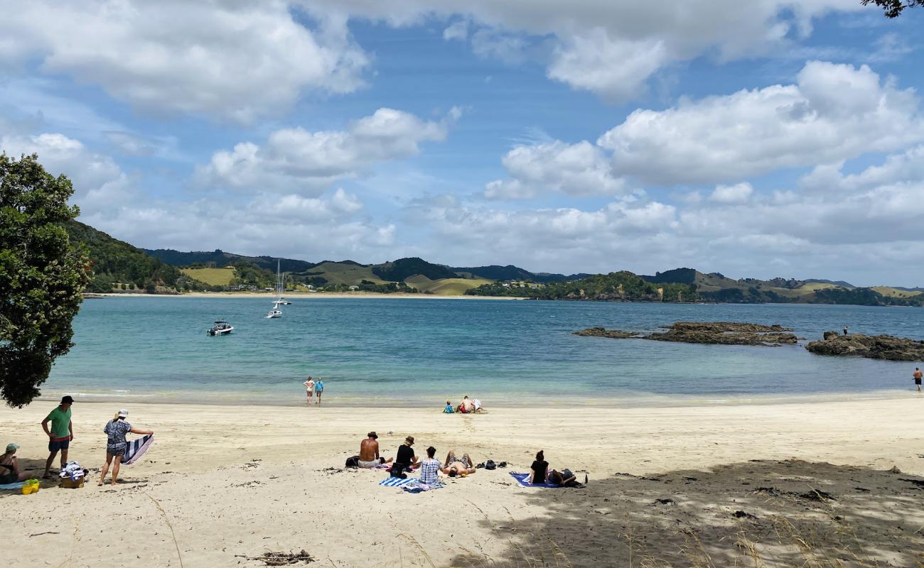 Whale Bay Beach'in fotoğrafı parlak kum yüzey ile