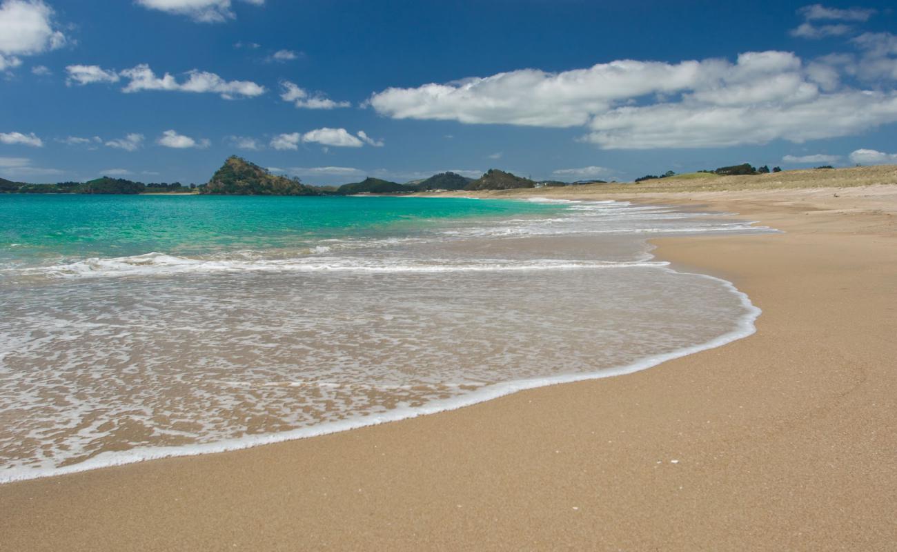 Parauwanui Beach'in fotoğrafı açık bej kum yüzey ile