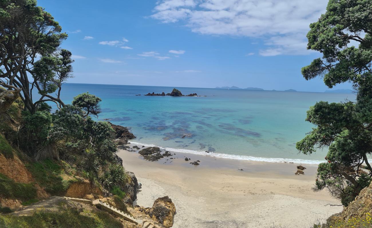 Kauri Mountain Beach'in fotoğrafı açık bej kum yüzey ile