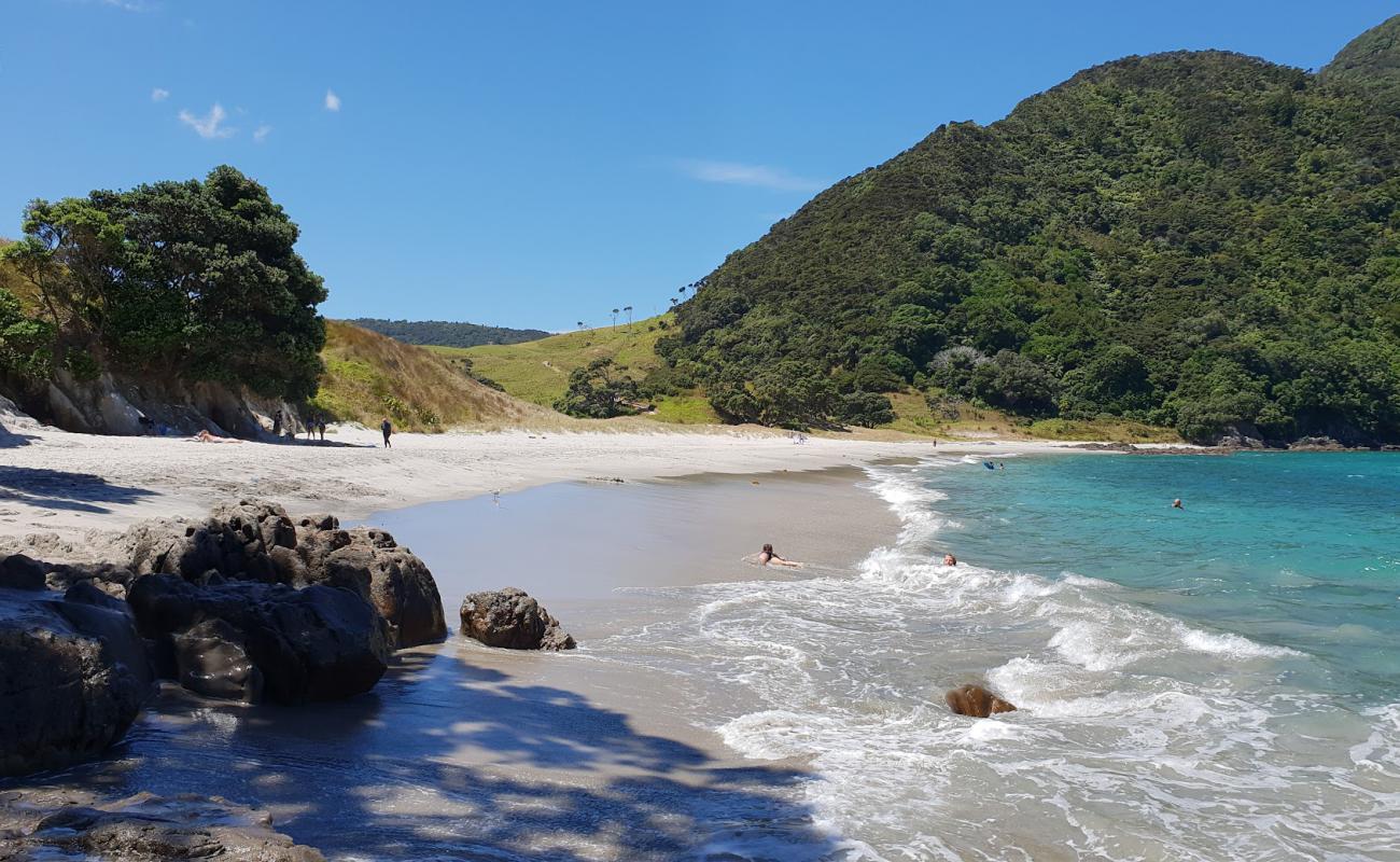 Smuggler's Bay Beach'in fotoğrafı açık bej kum yüzey ile
