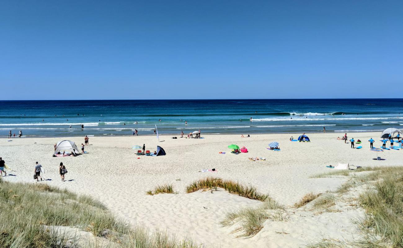 Te Arai Beach'in fotoğrafı parlak kum yüzey ile