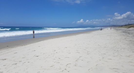 Forestry Beach