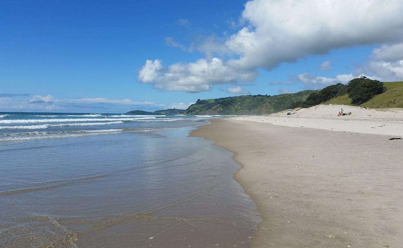 Pakiri Beach'in fotoğrafı açık bej kum yüzey ile