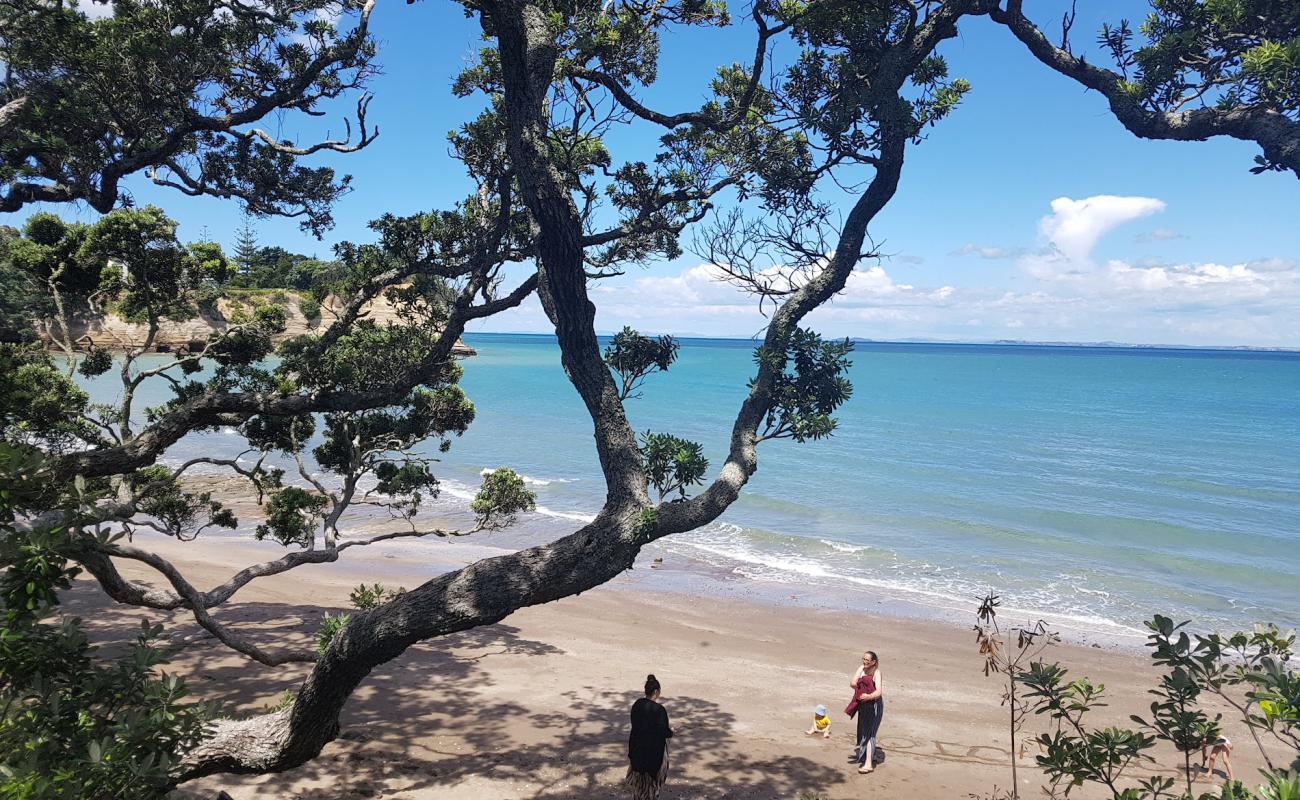 Little Manly Beach'in fotoğrafı açık bej kum yüzey ile