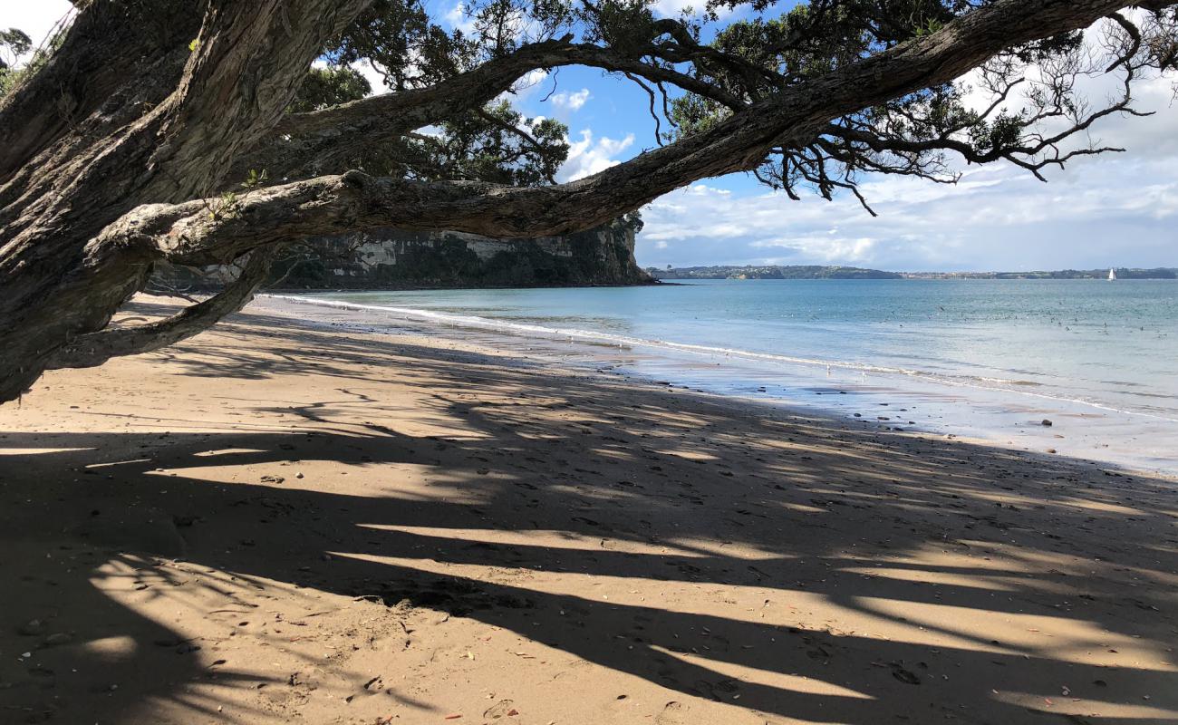 Pohutukawa Bay Beach'in fotoğrafı açık bej kum yüzey ile