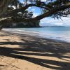 Pohutukawa Bay Beach