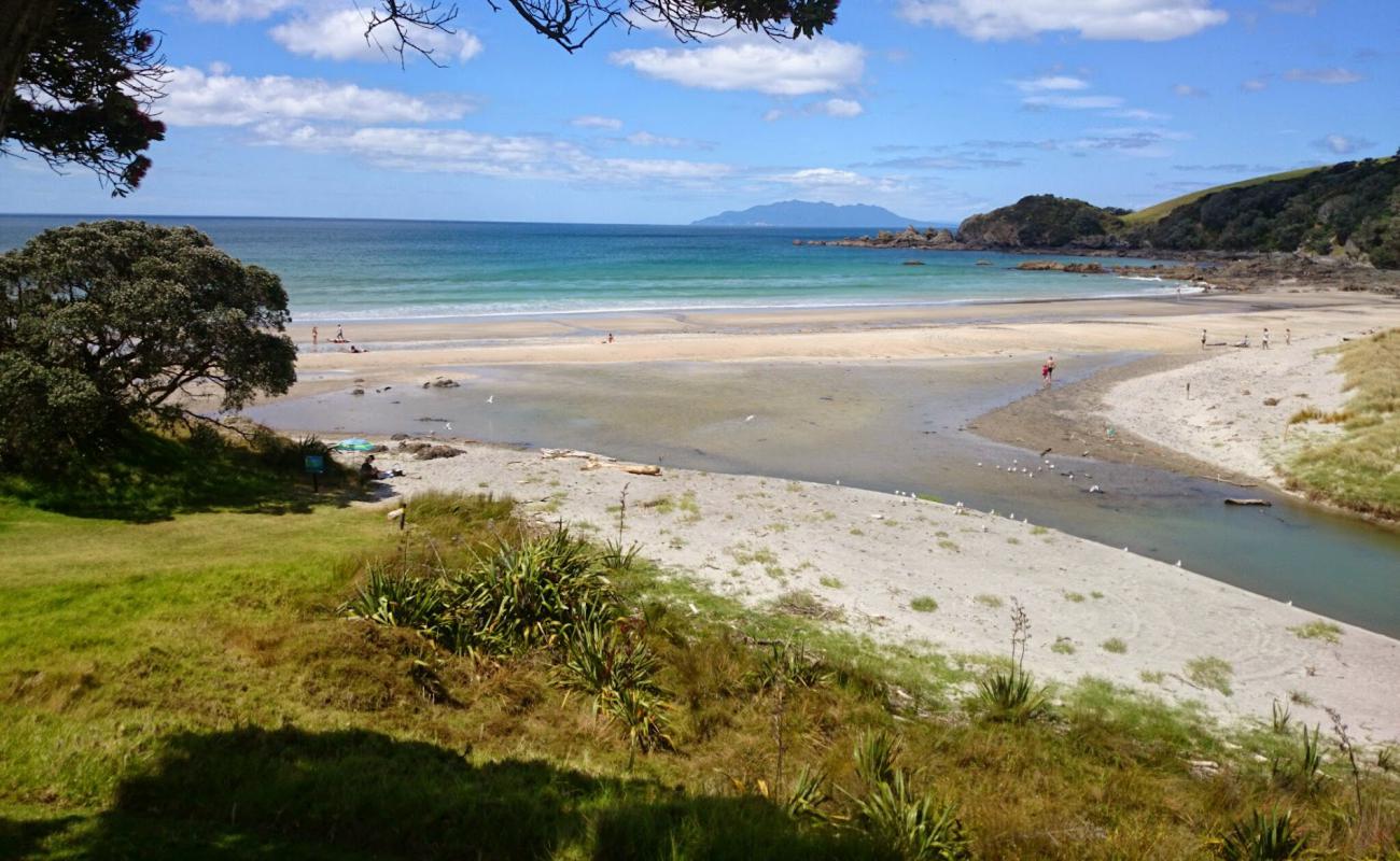 Waiake Beach'in fotoğrafı parlak kum yüzey ile