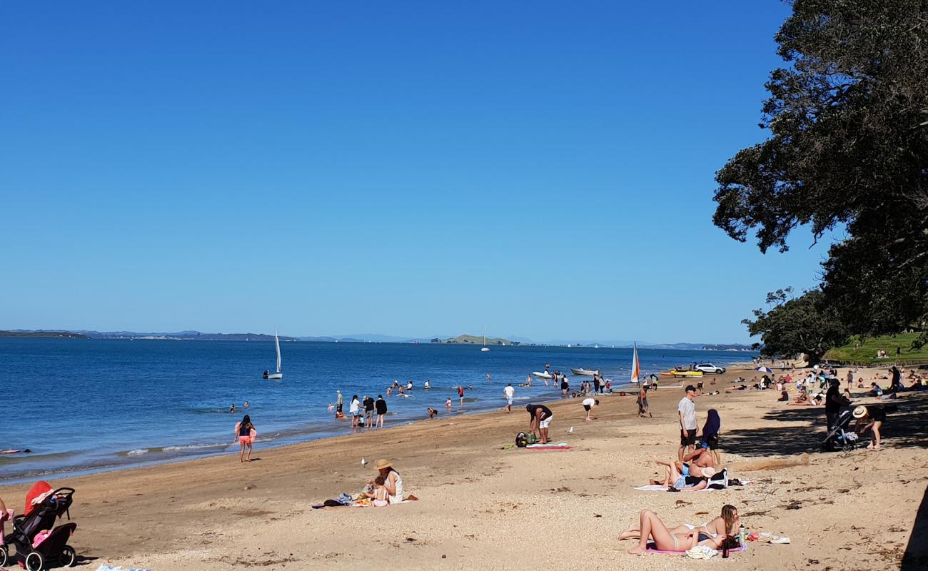 Narrow Neck Beach'in fotoğrafı kahverengi kum yüzey ile