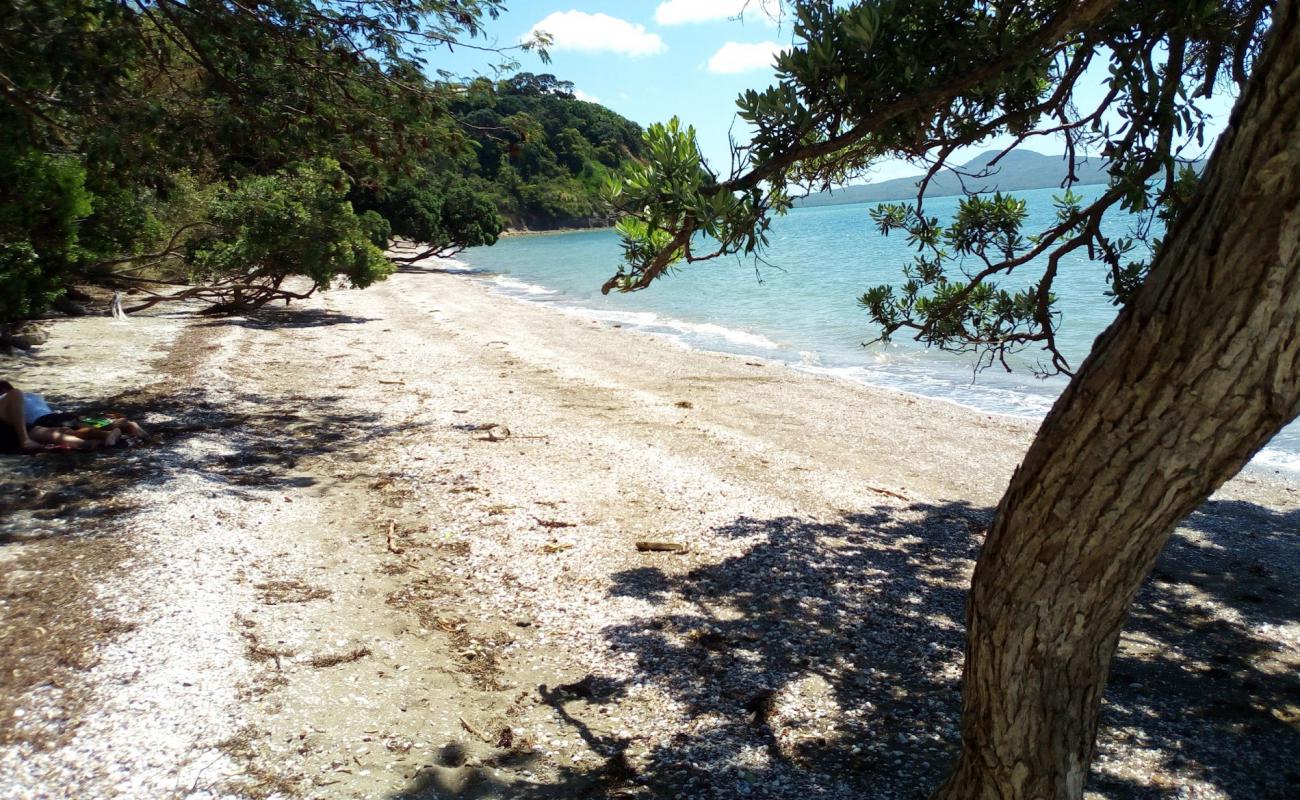 Karaka Bay Beach'in fotoğrafı bej kabuklu kum yüzey ile