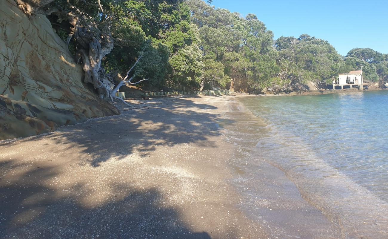 Shelly Reserve Beach'in fotoğrafı bej kabuklu kum yüzey ile