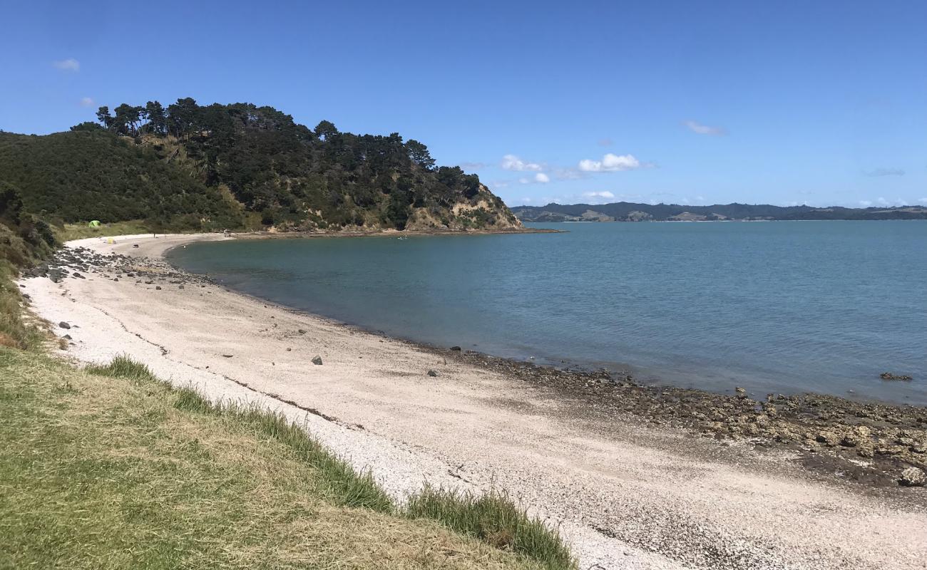 Mataitai Bay'in fotoğrafı küçük bej çakıl yüzey ile