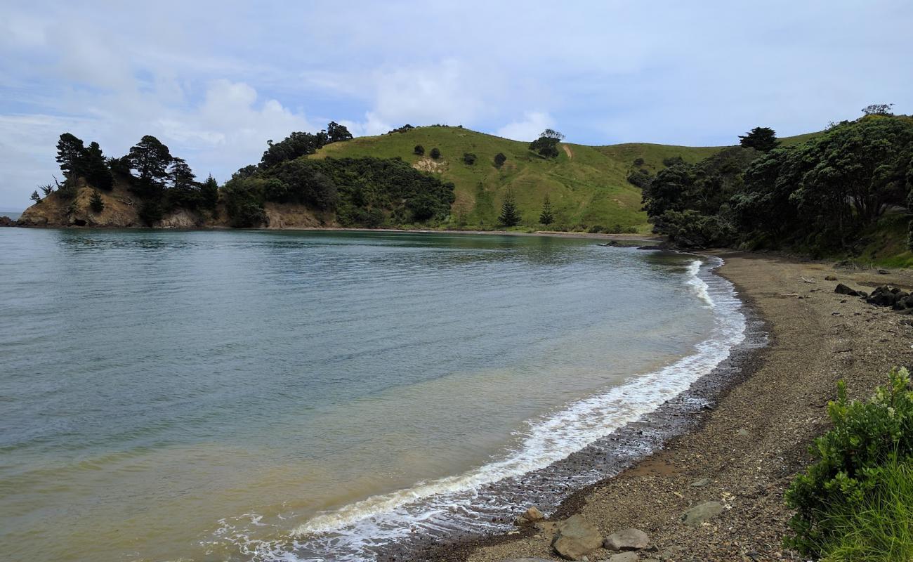 Wilsons Bay'in fotoğrafı kayalık arazi yüzey ile