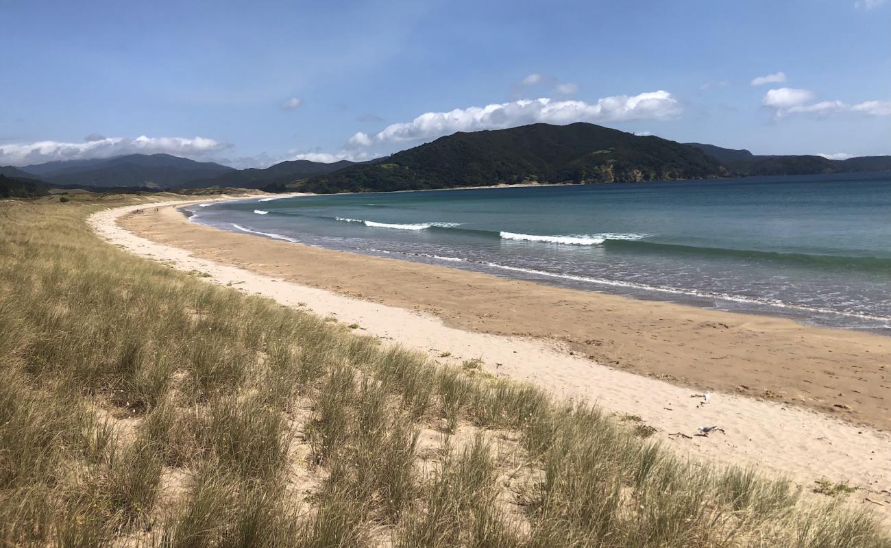 Waikawau Bay'in fotoğrafı açık bej kum yüzey ile