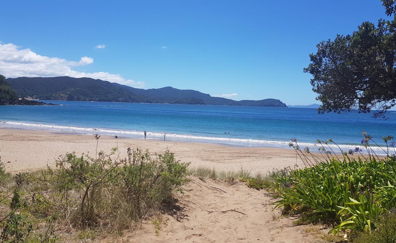 Little Bay Beach'in fotoğrafı açık bej kum yüzey ile