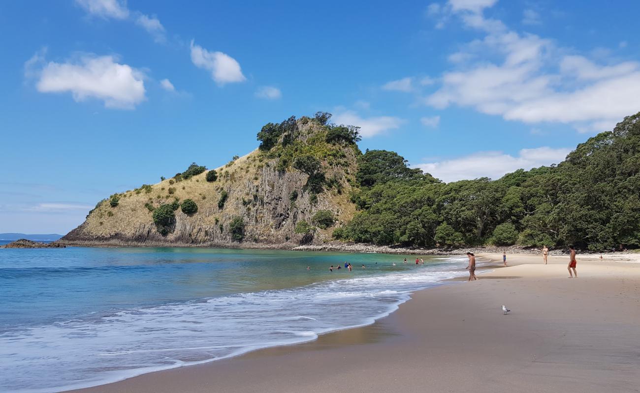 New Chums Beach'in fotoğrafı açık bej kum yüzey ile