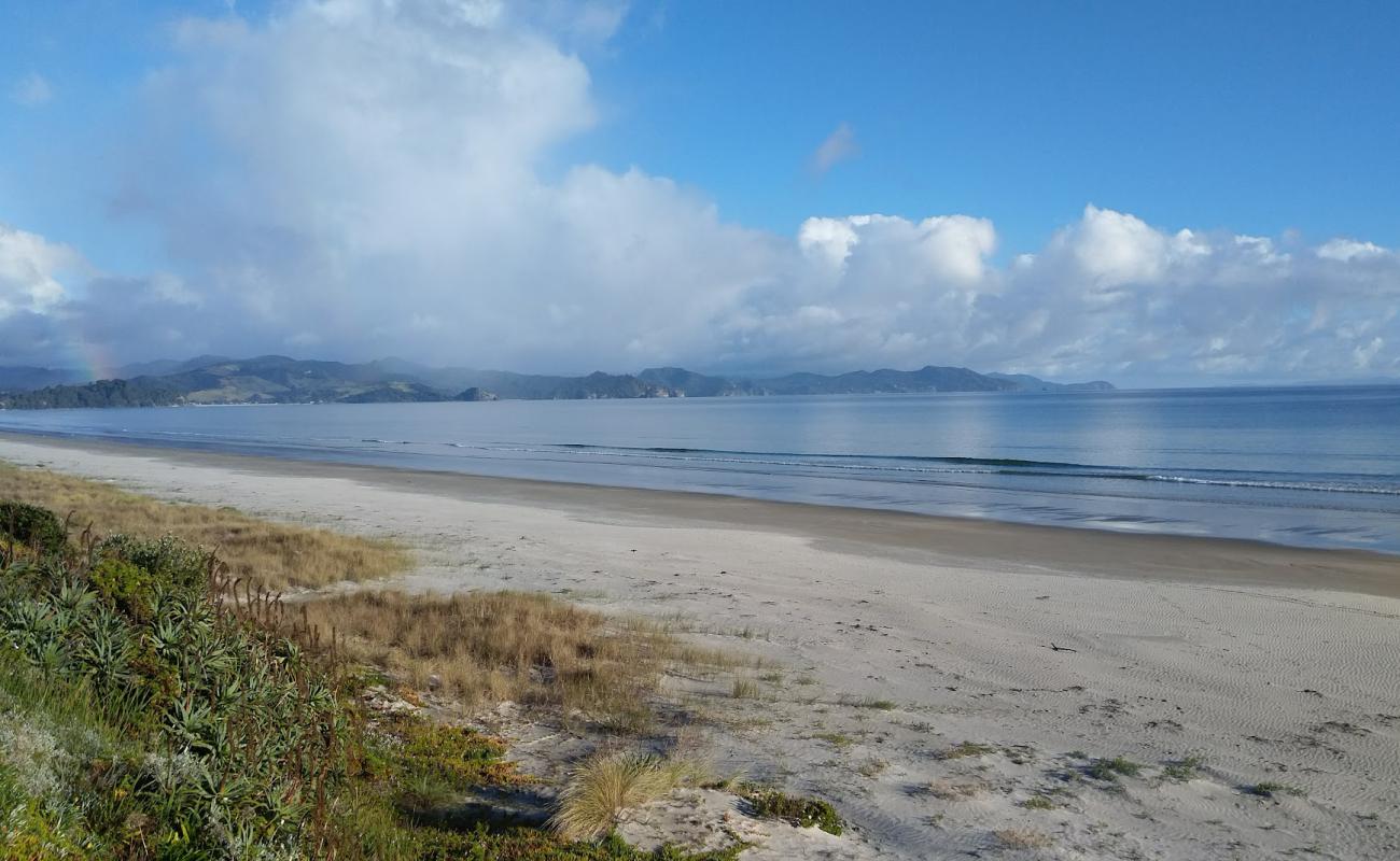 Matarangi Beach'in fotoğrafı açık bej kum yüzey ile