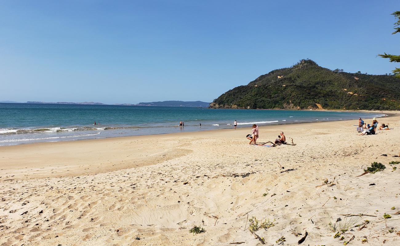 Kuaotunu Beach'in fotoğrafı açık bej kum yüzey ile