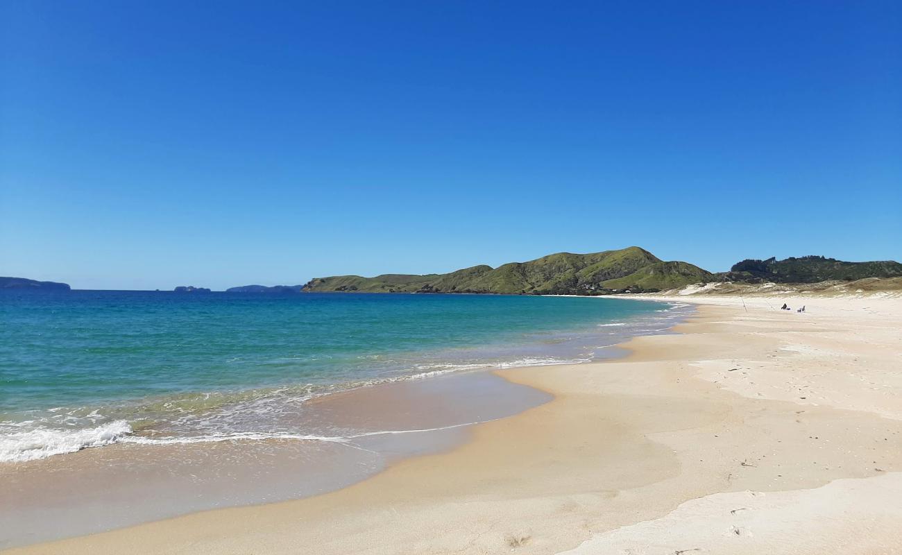 Otama Beach'in fotoğrafı açık bej kum yüzey ile