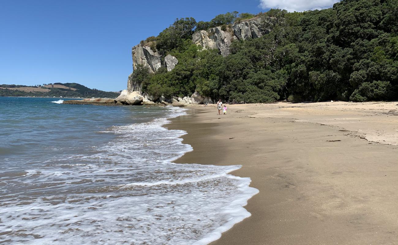Lonely Bay'in fotoğrafı bej kabuklu kum yüzey ile