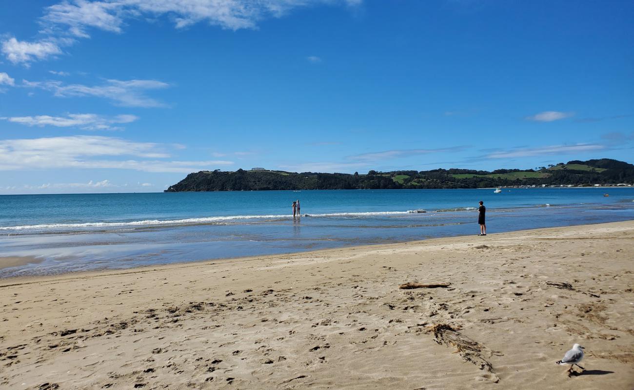 Cooks Beach'in fotoğrafı açık bej kum yüzey ile