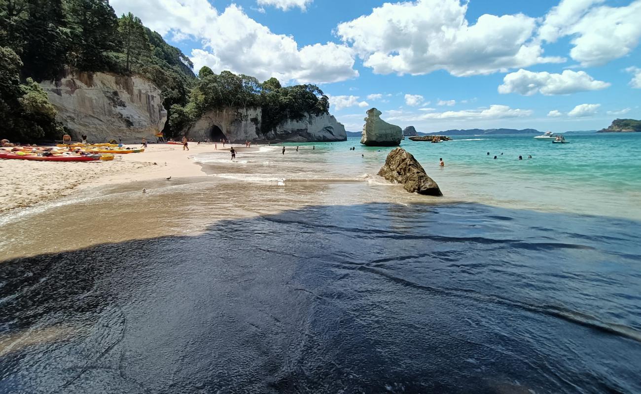 Cathedral Cove Beach'in fotoğrafı parlak ince kum yüzey ile