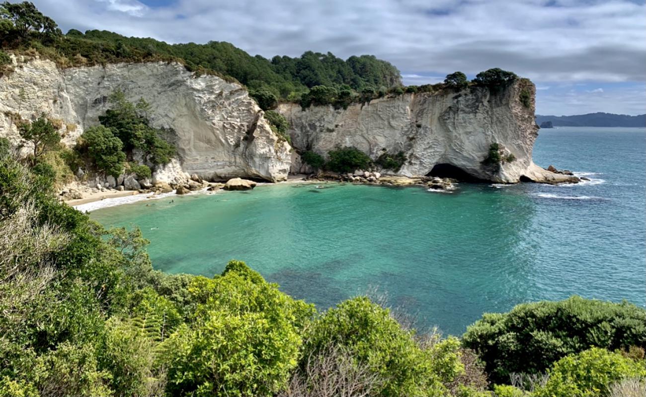 Stingray Bay'in fotoğrafı açık bej kum yüzey ile