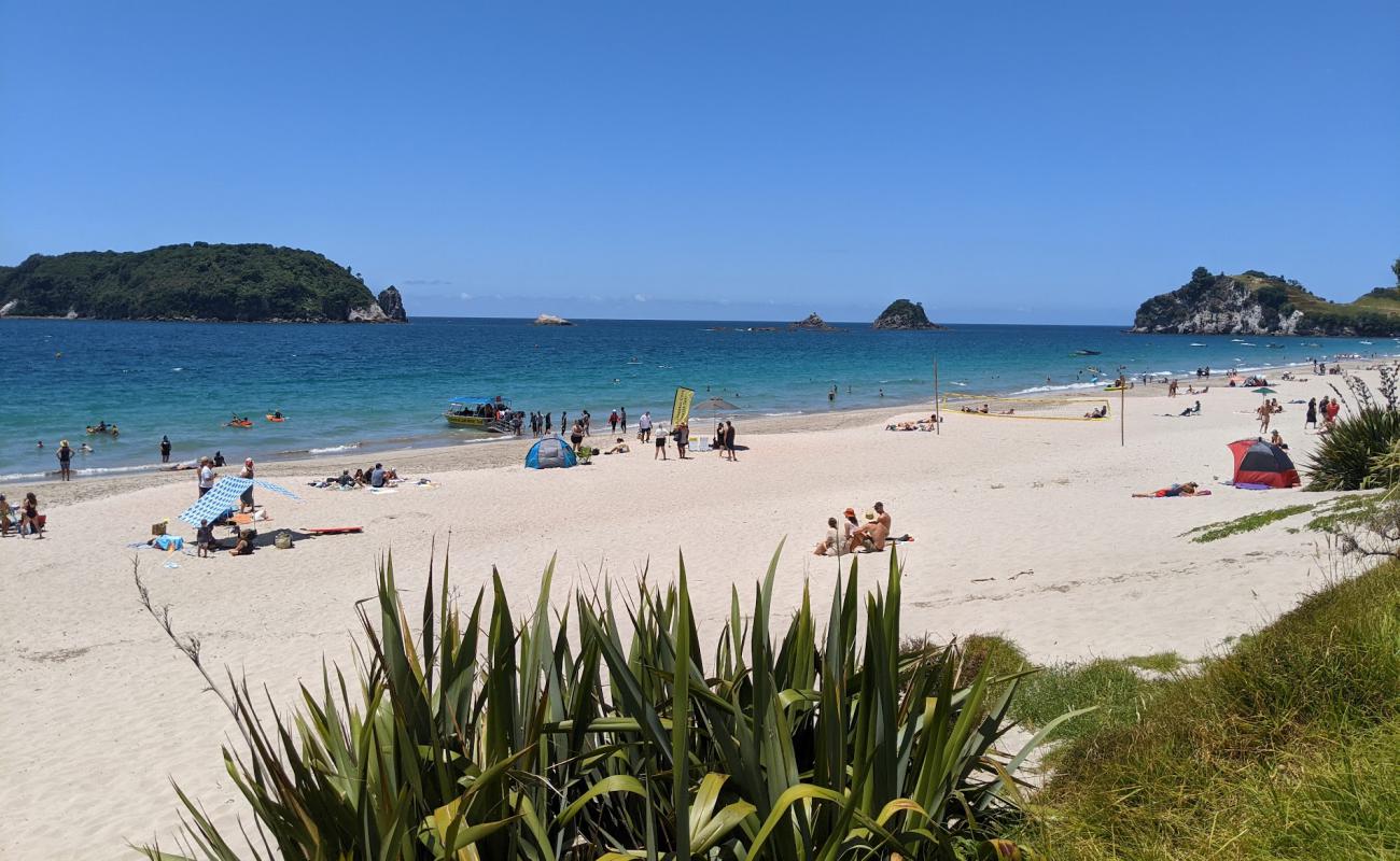 Hahei Beach'in fotoğrafı parlak kum yüzey ile