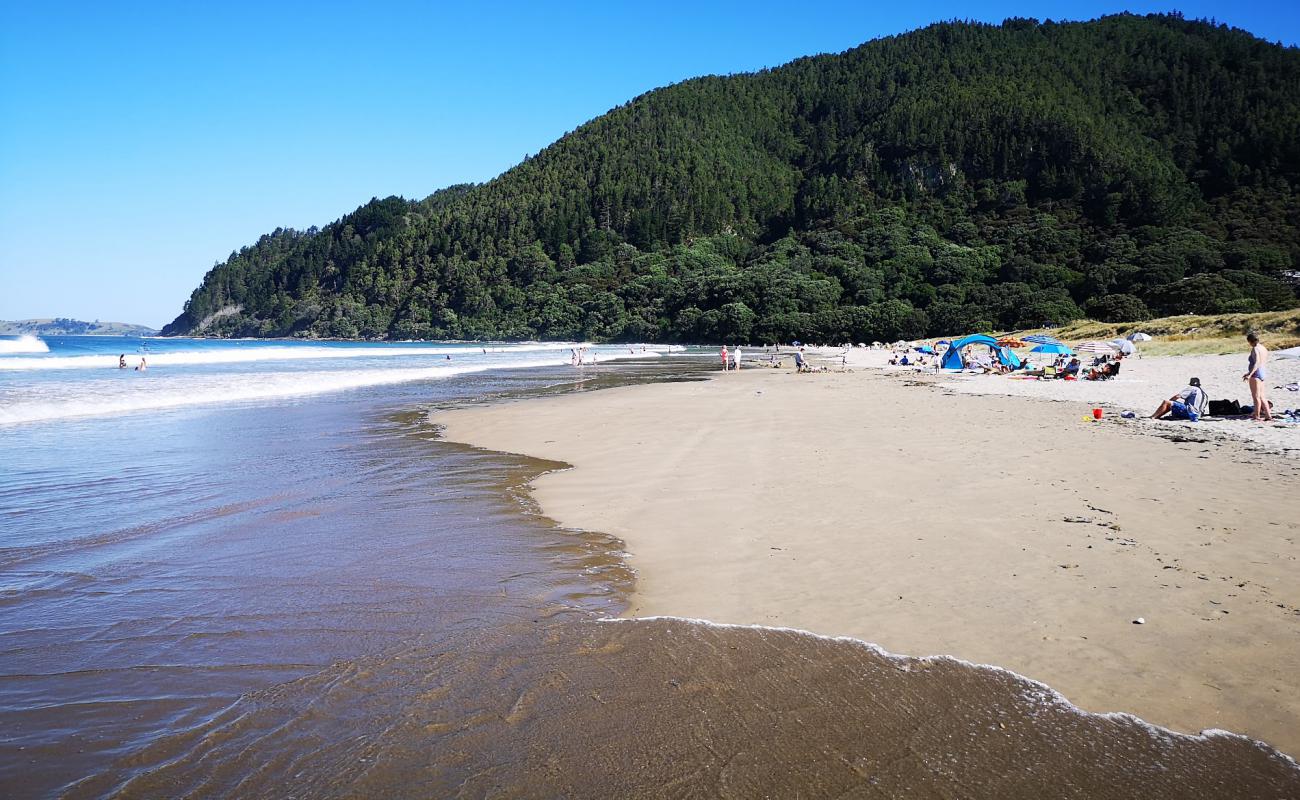 Pauanui Beach'in fotoğrafı parlak kum yüzey ile