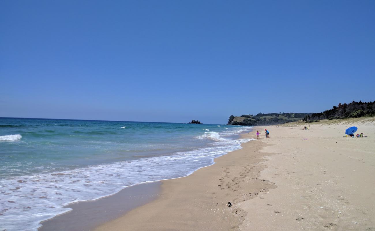 Opoutere Beach'in fotoğrafı parlak kum yüzey ile