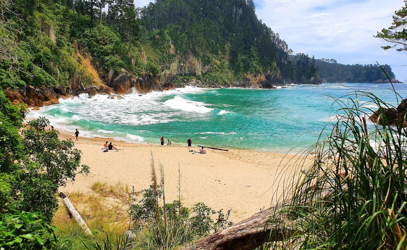 Pokohino Beach'in fotoğrafı parlak kum yüzey ile