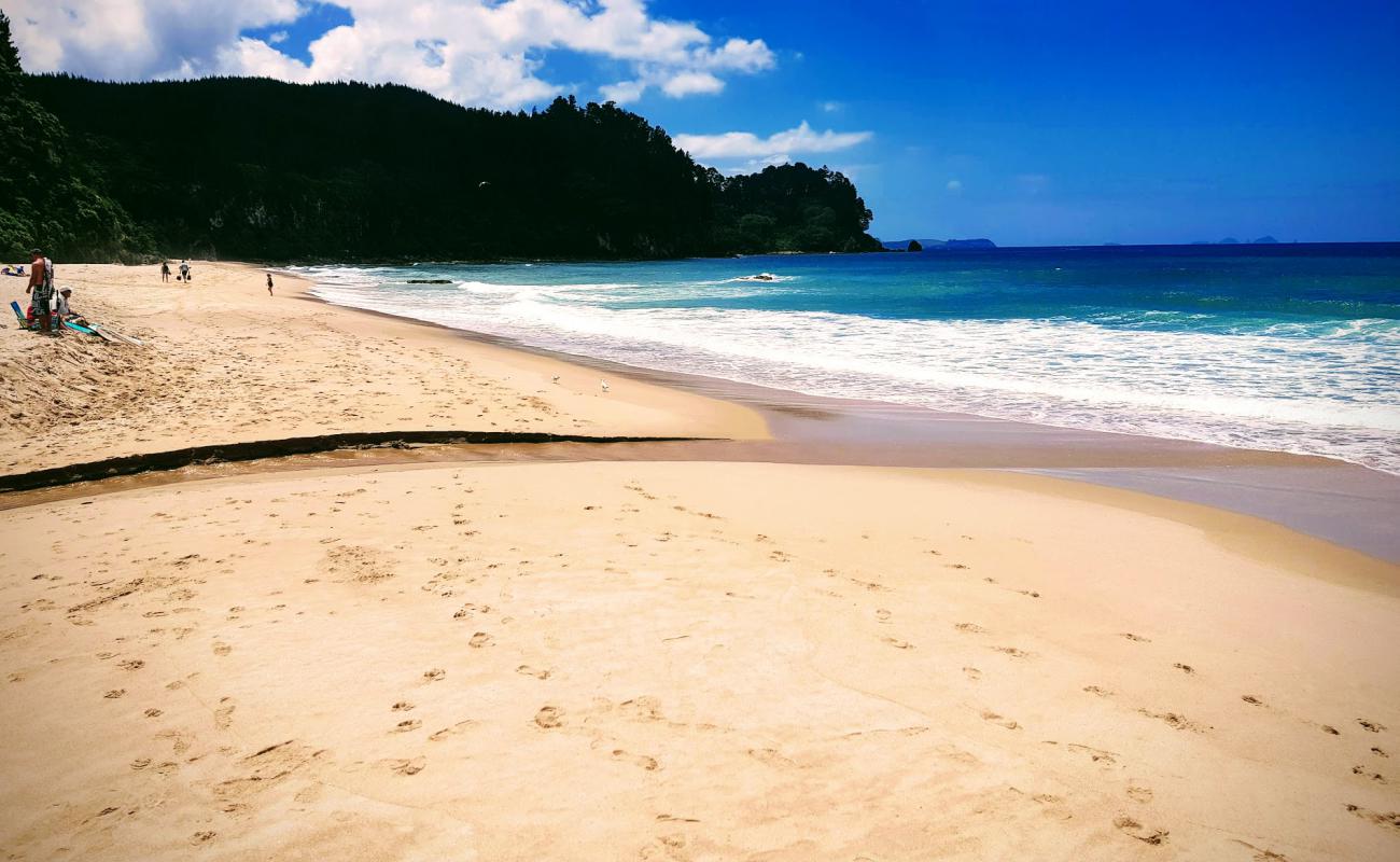 Onemana Beach'in fotoğrafı parlak kum yüzey ile