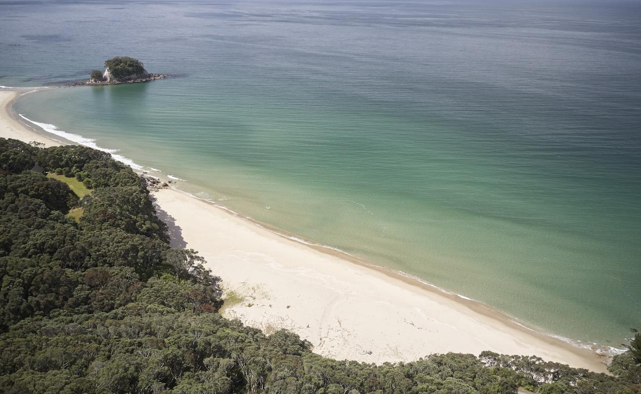 Will Hamilton Beach'in fotoğrafı parlak kum yüzey ile