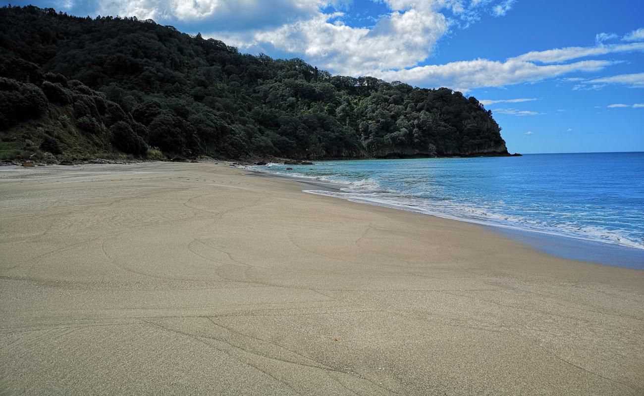 Homunga Beach'in fotoğrafı açık bej kum yüzey ile