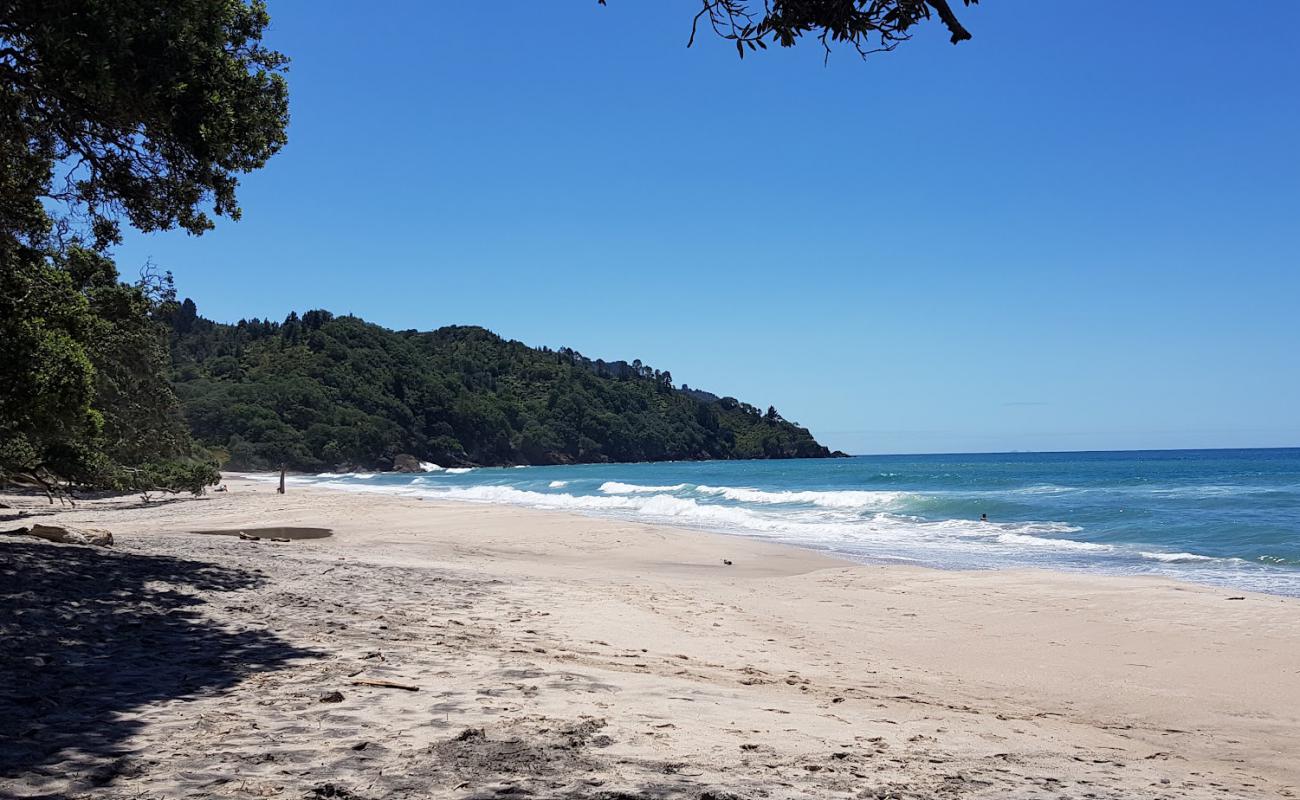 Orokawa Beach'in fotoğrafı açık bej kum yüzey ile