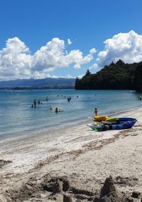 Bay of Plenty Bölgesi