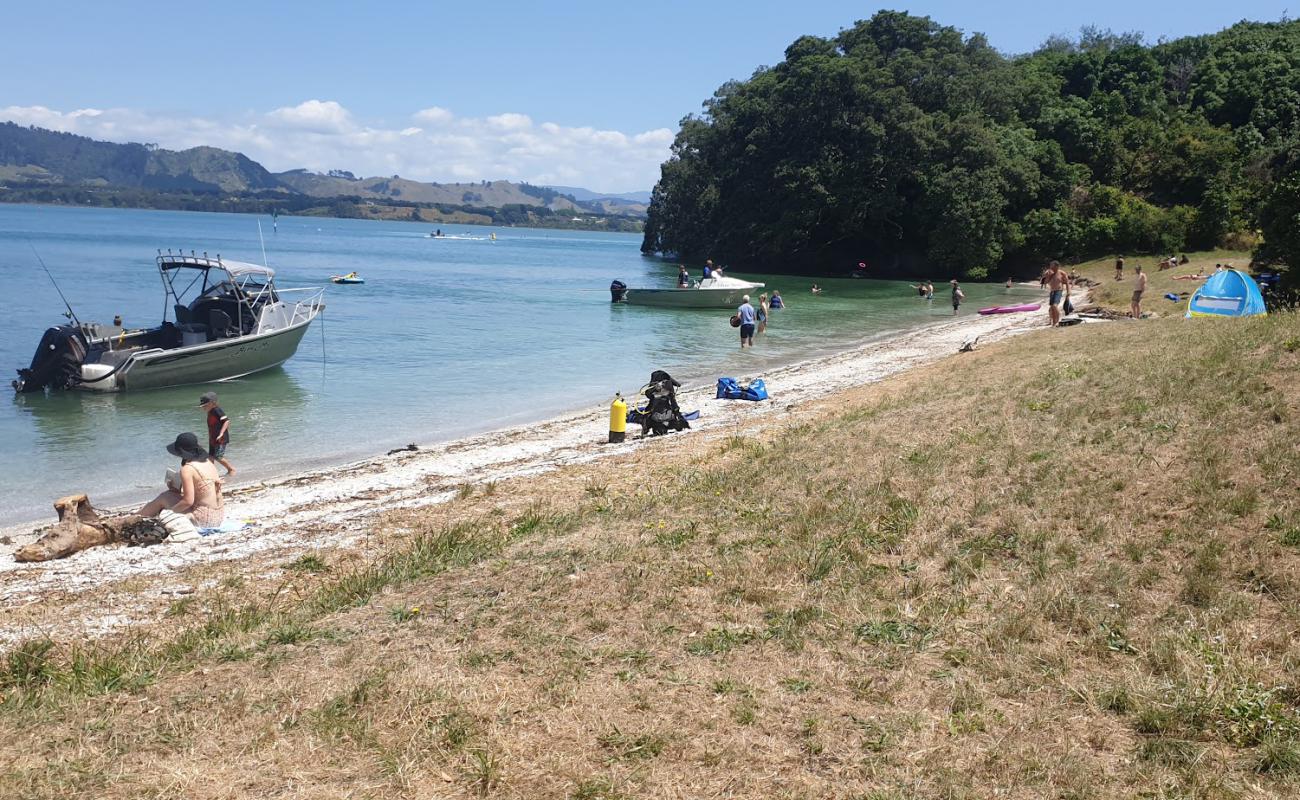 Shelly Bay'in fotoğrafı parlak kabuk kumu yüzey ile