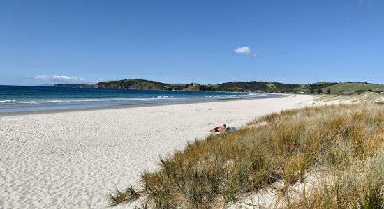 Papamoa Beach