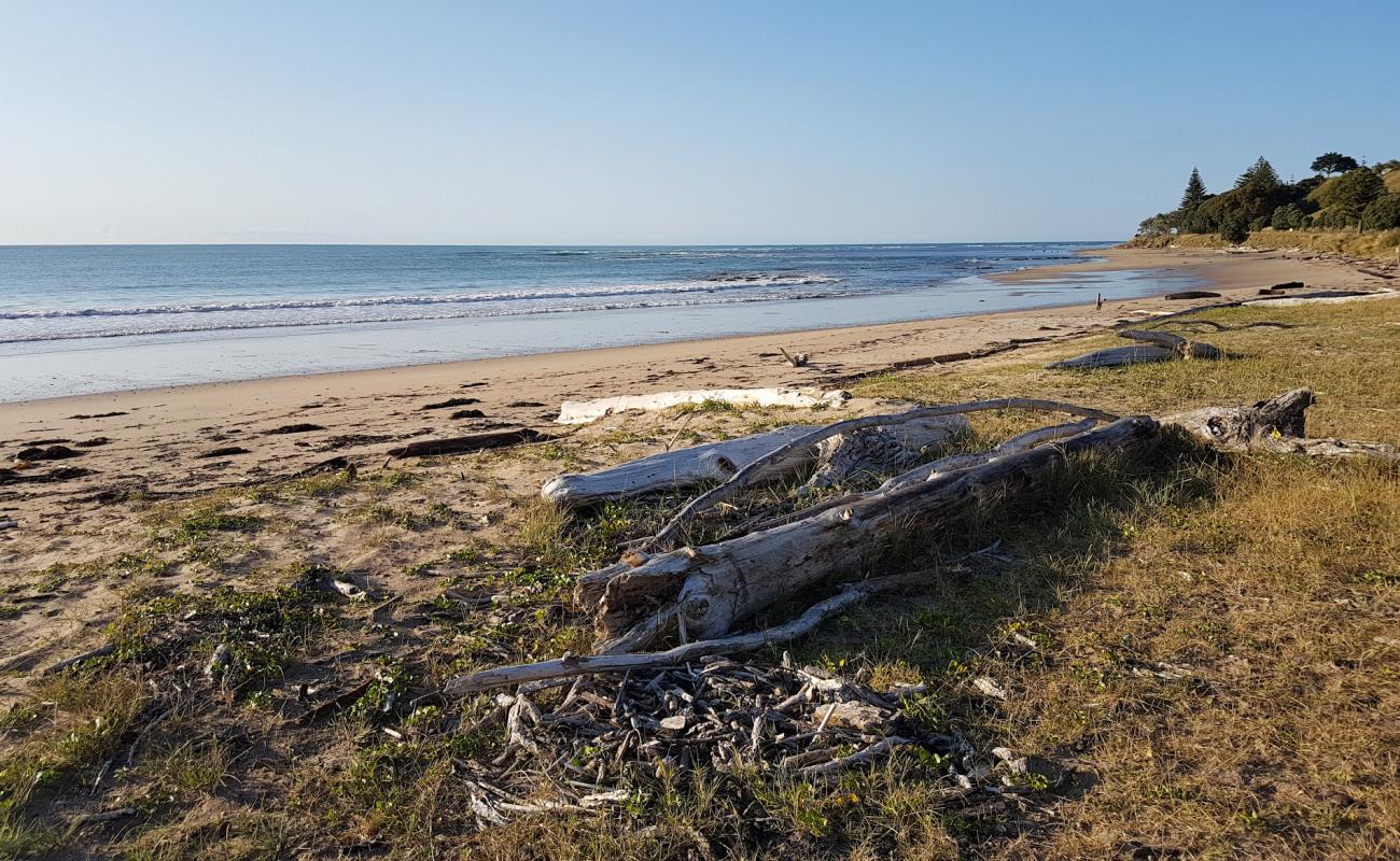 Turihaua Beach'in fotoğrafı açık bej kum yüzey ile