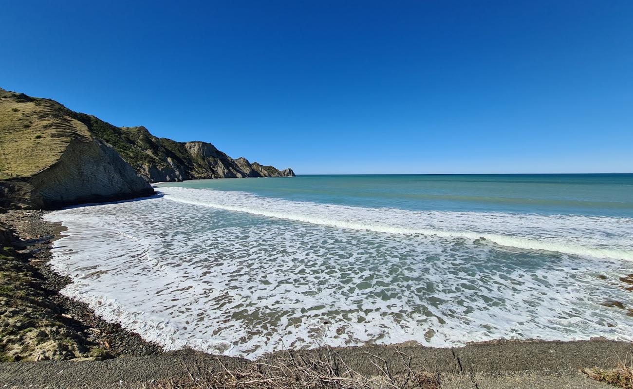 Sponge Bay Beach'in fotoğrafı bej kum ve çakıl yüzey ile