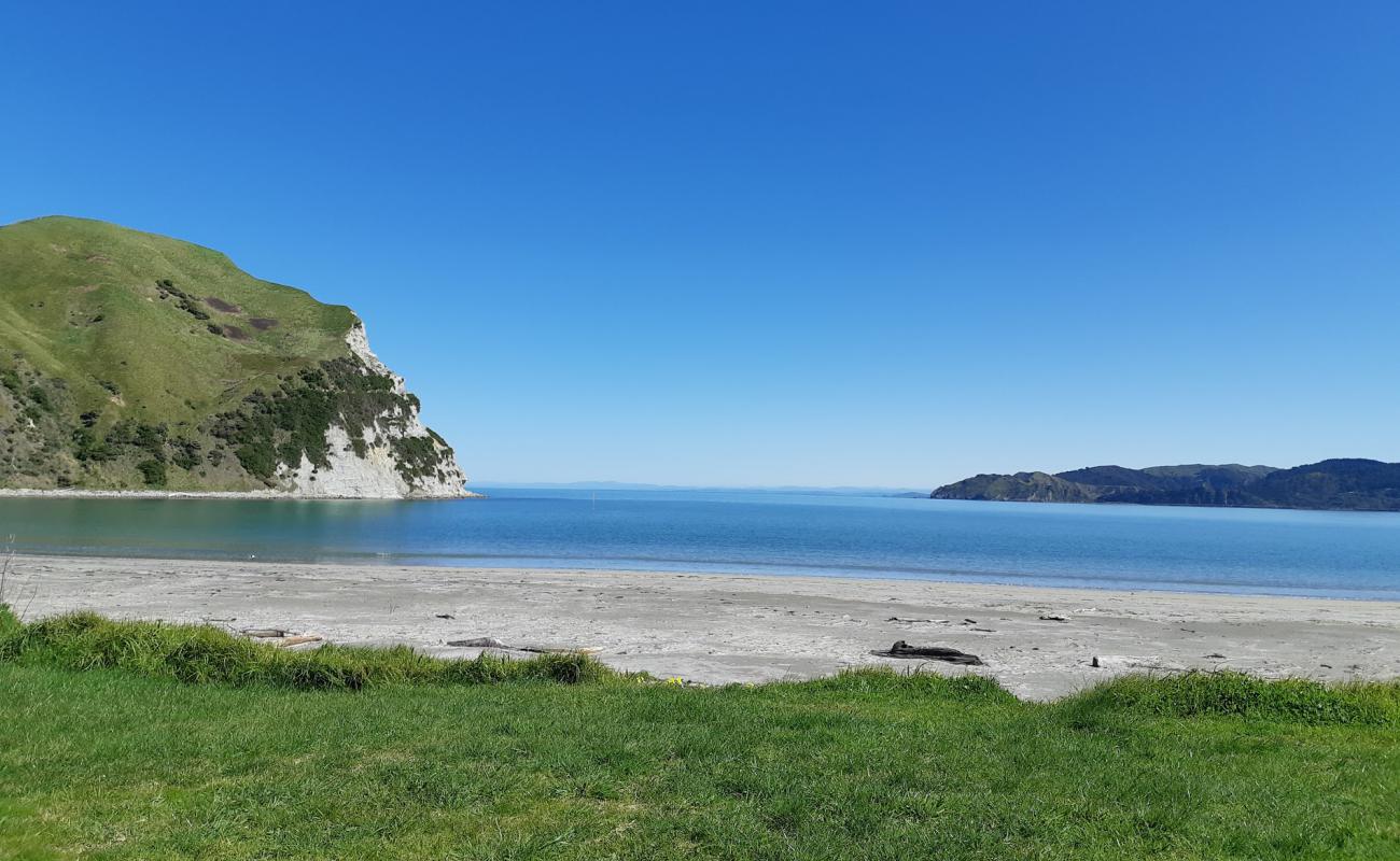 Opoutama Beach'in fotoğrafı açık bej kum yüzey ile