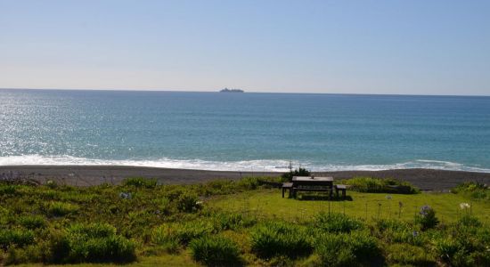 Whirinaki Beach