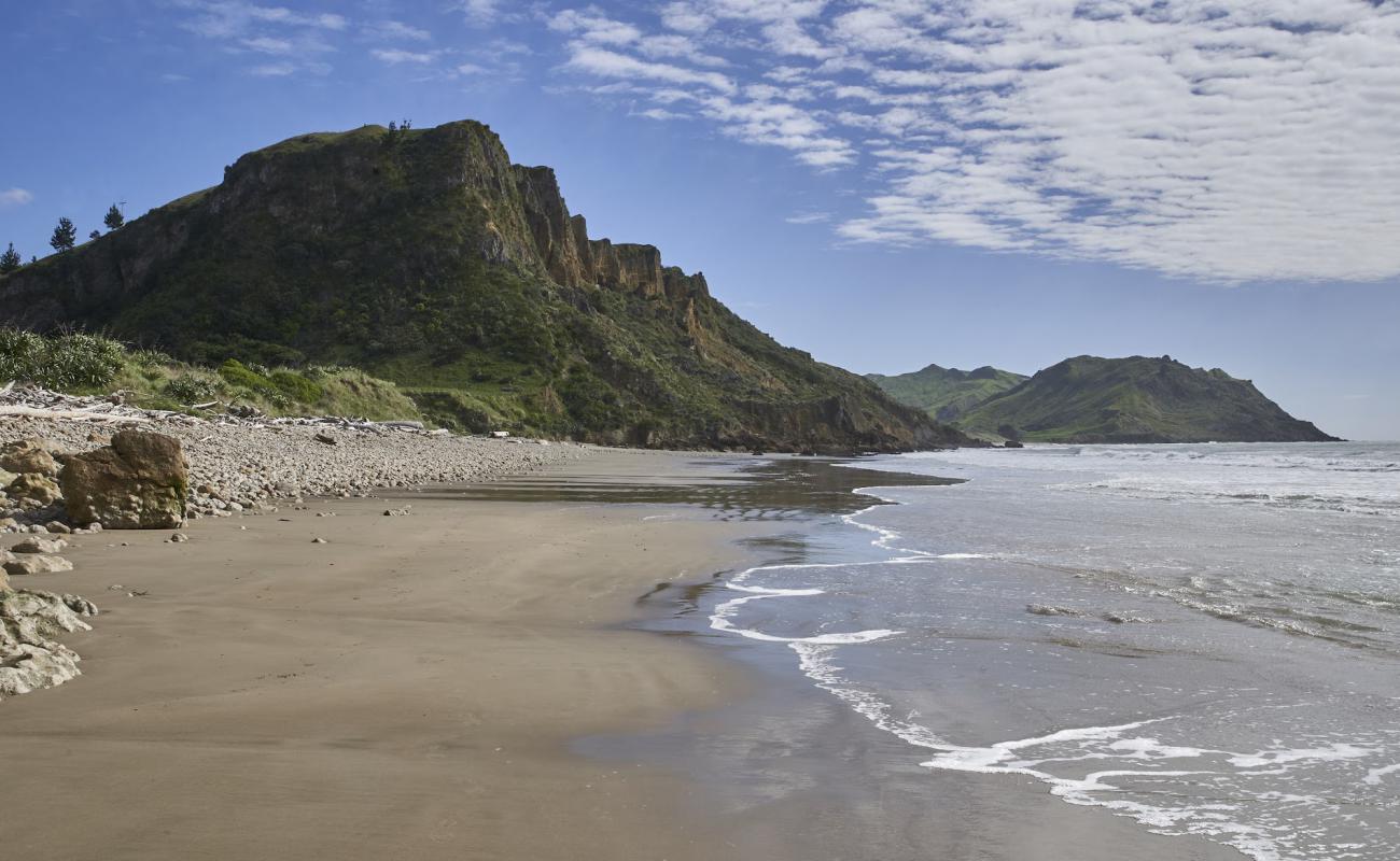 Kairakau Beach'in fotoğrafı açık bej kum yüzey ile