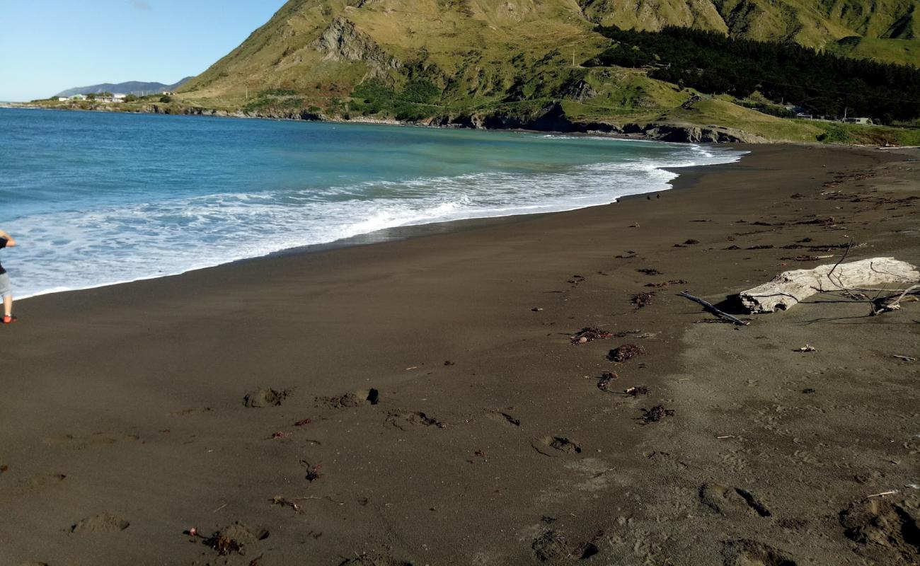 Te Awaiti Beach'in fotoğrafı gri kum yüzey ile