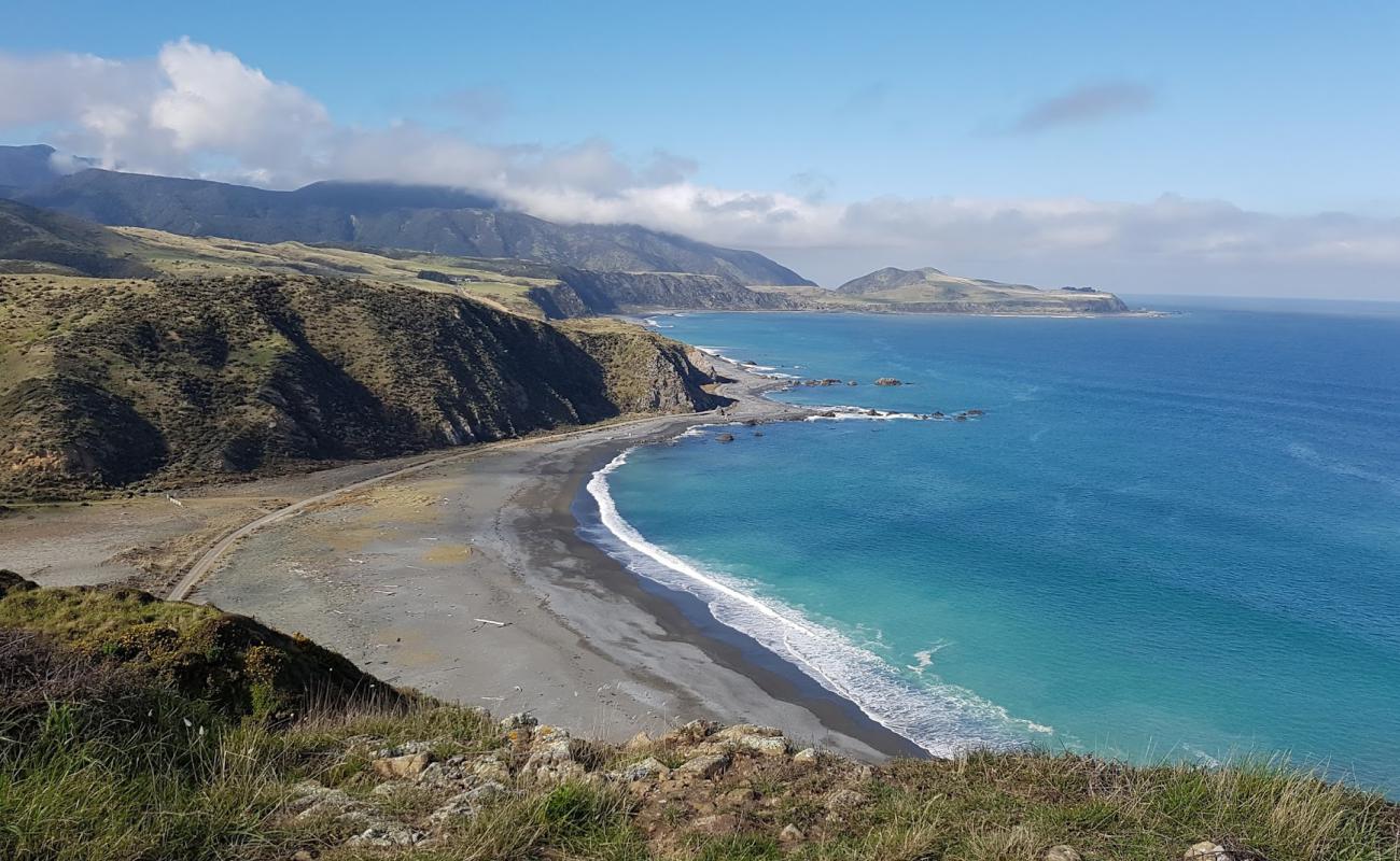 Pencarrow Head Beach'in fotoğrafı gri çakıl taşı yüzey ile