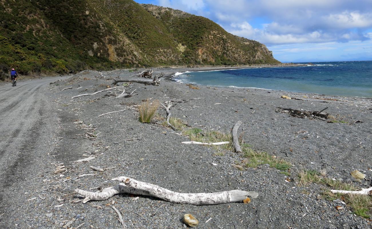 Camp Bay'in fotoğrafı gri çakıl taşı yüzey ile