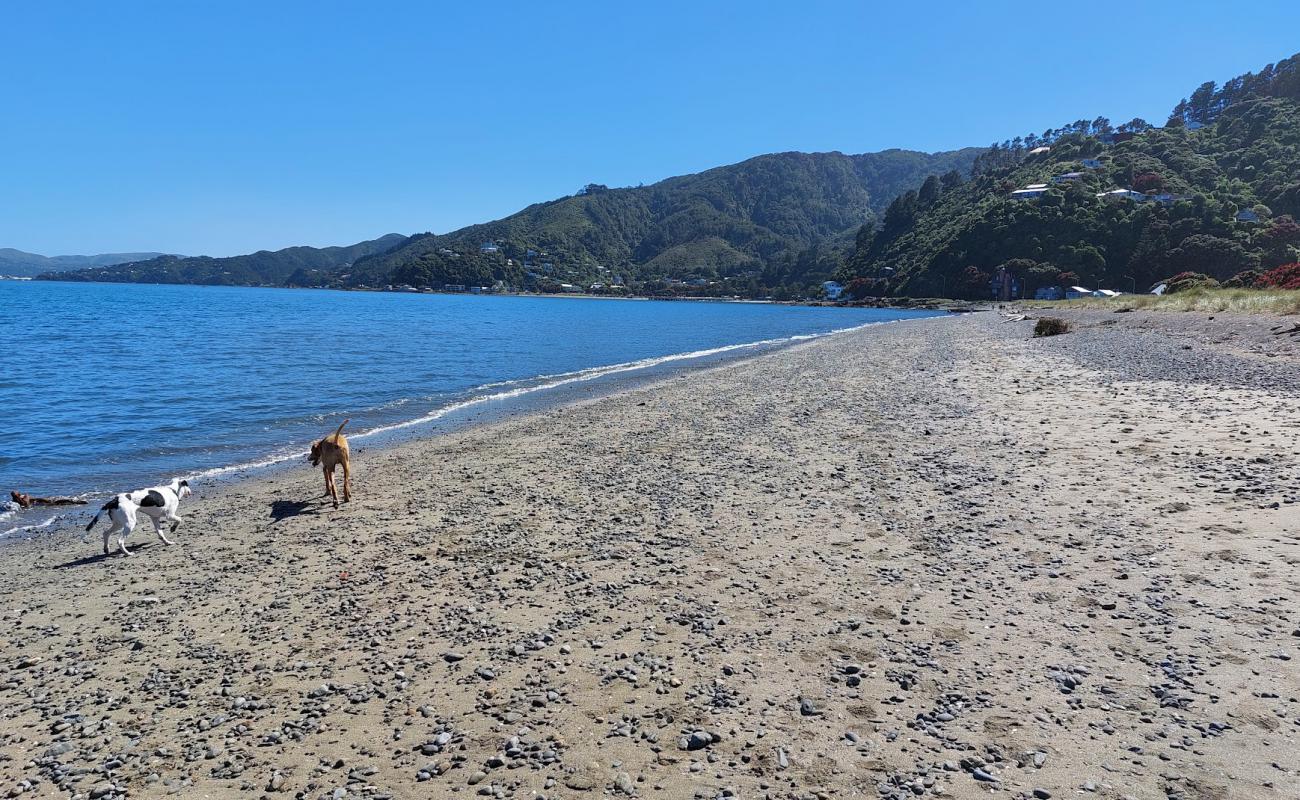 Rona Bay Beach'in fotoğrafı gri çakıl taşı yüzey ile
