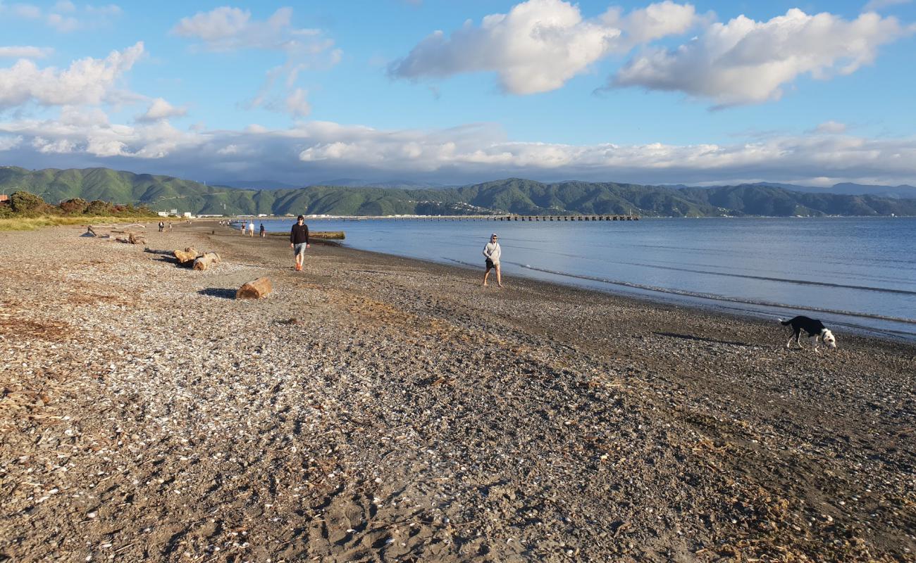 Petone Beach'in fotoğrafı gri kum ve çakıl yüzey ile